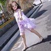 Girl Dresses Summer Girls Kids 3D Flower Sleeveless Lace Mesh Dress Baby Children Clothes Infant Party Beach Vestidos 2024