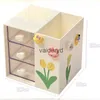 Förvaringslådor fack Kawaii Desk Pen Holder Pencil Storage Box Desktop Stationery Ins Organizing Box Cute Drawer Pen Holder Ltifunctional Organsaiduryd