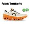 2024 neue Top-Qualität auf Cloudmonster Herren-Laufschuhe Alle Lumos Black White Eclipse Fawn Turmeric Frost Cobalt Surf Acai Purple Meadow Green Trainers Sports Sneake