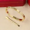 Charme Pulseiras Pulseira De Ouro Mulher Homem Bangle Designer Jóias 6mm e 4mm Titânio Aço Parafuso Bangles Casal Jóias Com Chave De Fenda Pulseiras Desi F9KJ