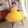Kız Elbiseler 2024 Bebek Bebek Kızlar İçin Zarif Prenses Düğün Doğum Günü Partisi Bow Tül Noel Balyosu Bowknot