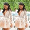 الرقبة الرخيصة V Mini HomeComing Dresses 2024 Long Sleeve Lace Hopique Short Prom Dress Vrict Party Party Party Party Party Party