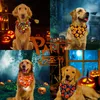 Abbigliamento per cani 2024 Halloween Decora bandane Accessori Sciarpa per animali domestici per piccoli bavaglini Forniture per cuccioli di gatto