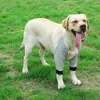 Abbigliamento per cani morbido bidone traspirante per protezione da recupero elastico fascia elastica gambe anteriori lavabili per esterni per esterni neri grigio leggero