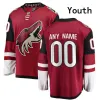 Maillots personnalisés pour hommes et femmes des Coyotes de hockey de l'Arizona 70 Karel Vejmelka 14 Shayne Gostisbehere 12 Nick Ritchie 17 Nick Bjugstad 19 Troy Terry 90 J.J. Moser 9 Clayt 64