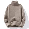 メンズ秋冬肥厚韓国スタイルのソリッドカラーカジュアルハイネックセーター240113