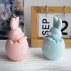 Hantverksverktyg 3D Eggshell Rabbit Silicone Candle Mold Creative Easter Animal Aromaterapi Gips Harts Handgjorda tvålchokladbakningsverktyg YQ240115