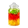 Matlagringsorganisation Ställer in Creative Grid Glass Jar Moisture Proof Sealed Kitchen Spice Bottle Pickle Pot With Lid Clear Burs Candy Containeraiduryd