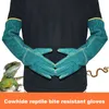 AntiBite Safety Gloves Ultra Long Leather Green Pets Grip Biting Protective for Catch Dog Cat Reptiles Animal 240115