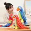 5070 cm Śliczne realistyczne Parrot Pluszowa pluszowa zabawka zwierząt miękka kawaii symulacja lalki ptaków dla dzieci dziewczęta