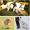 Benepaw Zachte hondenschoenen Waterdichte schoenen Stevige antislip Verstelbare kruisbanden Laarzen voor huisdieren Voor wandelen Staan Wandelen Hardlopen 240115