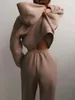 Agasalho feminino casual sólido manga comprida com capuz ternos esportivos outono quente moletom com capuz e calça longa velo conjuntos de duas peças 240115