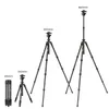 Tripods K Concepcja 64 -calowa/162 cm kamera z włókna węglowego statyw Lekki statyw podróżny z 36 mm metalową głową piłką szybkie uwalnianie Platel240115