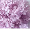 5g/lot Hydrangea Real Dried Flower Dry Plants For Aromatherapy Candleepoxy Pendant Necklace Jewelry Making Craft Diy Acc jllInL BJ