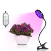 Grow Lights Full Spectrum LED Light USB Phyto Lamp Fitolamp med kontrollfytolamp för växtplantor Blomma Hemtält Tillväxtbelysning