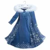 Elsa Dress Girls Party Vestidos Cosplay Girl Clothing Anna Snow Queen Print Birthday Princess Dress Kid Costume 240116