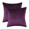 Pillow El Sofa Car Home Chair Cover Covered Velvet Lumbar Pillowcase Soft Room Decoration 30x50 45 50 60cm