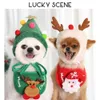 Novos banners streamers confetes férias de natal chapéu animal aprendizagem lenço engraçado tia teddy dharma hiromi luta decoração s01630