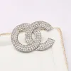 20 stylów Pins Broothes Desinger Geometry Brooch Women Crystal Rhinestone Ruit Pin moda biżuteria akcesoria dekoracji