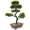 Fiori decorativi Piante finte Pino finto Scrivania media Bonsai artificiale Realistico simpatico addominale Mini da interno