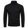 Herbst und Winter Herren Pullover Rollkragen einfarbig lässig Unterhemd Pullover vielseitige Qualität 240116