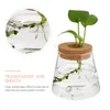 Vases 2 Pcs Eco Bottle Orchid Pot Terrarium For Hydroponics Plants Container With Cover Garden Decoration Glass Office Vase