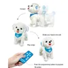 RC Robot chien intelligent chiot Teddy Programmable commande vocale chant marche télécommande électronique animaux jouets pour enfants 240116