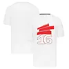 2023 NOWOŚĆ F1 Racing popularna drużyna wyścigowa specjalna koszulka z krótkim rękawem do bezpłatnego dostosowywania