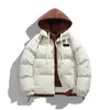 Mannen Dikker Warme Winterjas Casual Parka Uitloper Harajuku Gewatteerde Jas Verschillende Kleur Bubble Jas Kapmantel Kleding 240116