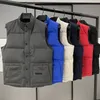 Gilet de créateur vêtements de sport pour hommes et femmes, gilet à la mode, matériau en plumes d'oie de luxe authentique, veste ample, veste à la mode et tendance Hqgri