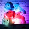 Kawaii Creative Night Light LED Beau chien en peluche et jouets en peluche poupée anniversaire cadeau de Noël pour enfants enfants ami 240115