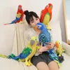 5070 cm Śliczne realistyczne Parrot Pluszowa pluszowa zabawka zwierząt miękka kawaii symulacja lalki ptaków dla dzieci dziewczęta