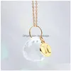 Constellation Sun Catcher Crystal Rainbow Suncatcher Glass Car Hanging Decoration Window Garden Sunlight Prism 0619 Drop Delivery Dhypy