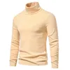 Herren-Basic-T-Shirt mit hohem Kragen, CVC-Wollpullover, Pullover 240116