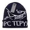 2024 New Knitted Hat Fashion Cap Popular Warm Windproof Stretch High-quality Beanie Hats P-5