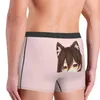 Underbyxor man roboco peeker nekopara tecknad underkläder roliga boxare trosor shorts trosor man midja midja s-xxl