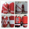 NCAA Wisconsin Maillot de hockey cousu 34 Trent Frederic 19 Cameron Hughes 13 Ryan Wagner 10 Jake Linhart 21 CHRIS CHELIOS 4 Ryan Suter 19 K'Andre Miller 18 Seamus Malone