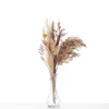 Fleurs décoratives litchi vie petit Bouquet de roseaux séchés bricolage créatif bohème décoration de la maison accessoires cadeau de fête en gros