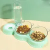 Pet Cat Automatic Feeder Plastic 3in1 Dog Food Bowl Double Bowls Water Reservoir Drinker Feeding Accessories 240116