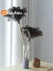 Otautau Fine Ostrich Feather Duster Hushåll Bil Chicken Dust Cleaner Brush House Cleaning Tools DZTY03 240116