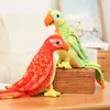 5070 cm Śliczne realistyczne Parrot Pluszowa pluszowa zabawka zwierząt miękka kawaii symulacja lalki ptaków dla dzieci dziewczęta