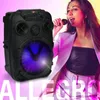 Alto-falantes 60W Karaokê Home System Package 8 "Dynamic Driver Loudsound Speaker com microfone sem fio Ligh Show Bass Boost Party Bluetooth Audio