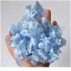 5g / lot Hortensia vraie fleur séchée plantes sèches pour aromathérapie Candleepoxy pendentif collier bijoux fabrication artisanat bricolage acc jllInL BJ