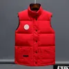 Gilet di design per abbigliamento sportivo alla moda da uomo e da donna, giacca allentata in materiale di piume d'oca di lusso autentico, giacca di tendenza alla moda Hqgri