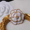20 Style Luxury Desinger Brooch Jewelry Women Brooch Brand Letter Brooches Pin Gold Silver Wedding Party Jewelry Accessories