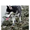 Buty dla psów dla pensów oddychające przeciwpoślizgowe regulacyjne odblaskowe buty dla psów dla średnich dużych psów Ochrona PAW Pies Akcesoria 240115