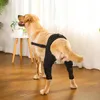 Vêtements de chien Support de jambe Attelle réglable arrière genou hanche blessure à l'articulation de la hanche récupérer l'enveloppe protéger la plaie et prévenir les fournitures