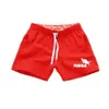 Quick Dry Men's Shorts Trunks Sports Cycling Running Swimming Surfing Fishing Hiking Surfing Holiday Boxer Briefs Board Shorts