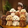 Stuffed Plush Animals New Lovely Curly Hair Teddy Dog Plush Toys Wears Collar Head Flower Teddy Dolls Stuffed Soft Toy Kids Birthday Gifts