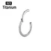 G23 Hoge Kwaliteit Drie zijden Zirkoon Hight Segment Ringen Open Kleine Septum Piercing Neus Oorbellen Helix Lichaam Sieraden 16G 240116